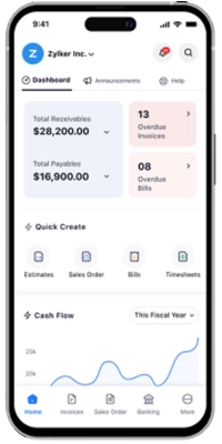 Zoho Books Professional on mobile